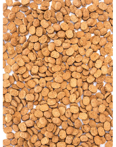 ALEGIA Brindilles pour rongeurs et lapins 100g