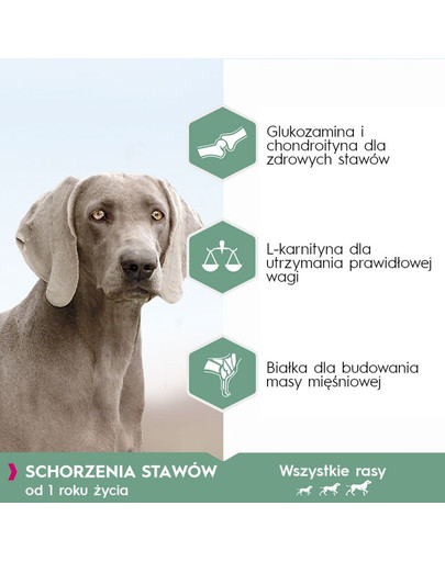 EUKANUBA Daily Care Adult Sensitive Joints 12 kg