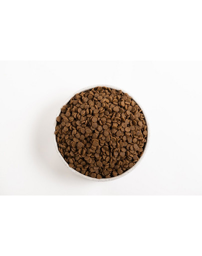 WIEJSKA ZAGRODA Leśne smaki - Cerf avec caille pour chiots - 800 g