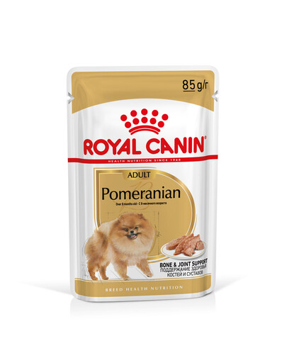 ANIMONDA Vom Feinsten Cat baby 100 g pâtée de viande pour chatons