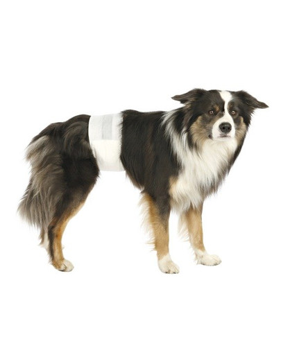 TRIXIE Pannolini a fascia per cani maschi S–M: 30–46 cm 12 pz