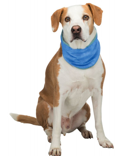 TRIXIE Bandana rinfrescante M: 28-40 cm