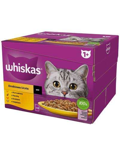 INABA Cat Dashi Delights - bouillon poulet, thon et noix de Saint-Jacques - 70 g