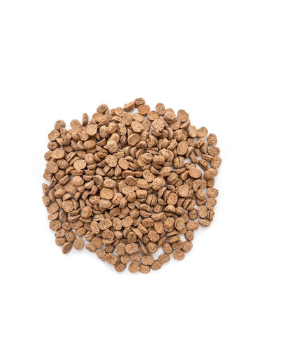 SIMPLY FROM NATURE Oven Baked Dog Food with wild boar 1,2kg