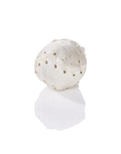 BRIT Premium By Nature Sensitive Lamb 30 kg (2 x 15 kg) + DR HUGGY Supreme Dog Nutritione agneau et patates douces 2 x 100g