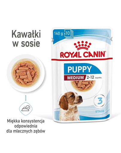 INABA CIAO Chicken fillet grilled - Filet de poulet dans un bouillon de coquilles Saint-Jacques - 25 g