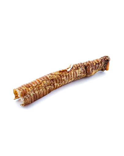 BIOFEED EUPHORIA Gluten Free jagnięcina dla szczeniąt małych i średnich ras 12 kg