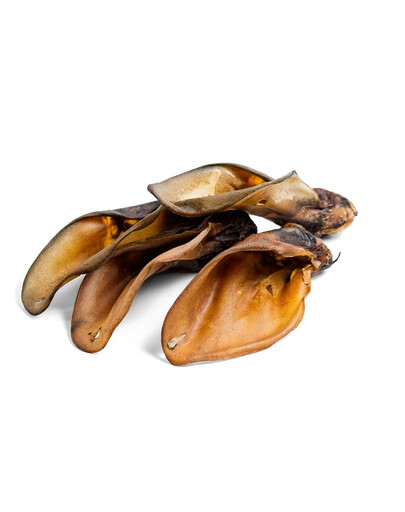 FARMINA N&D Ocean Hareng & Orange 5 kg - pour chats adultes