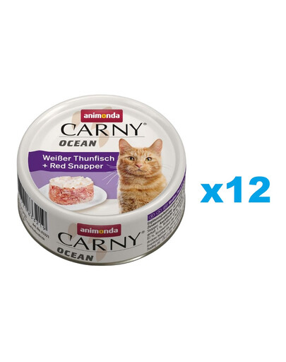 RINTI Sensible - Viande de bœuf et riz - 6x800 g