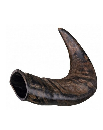 TRIXIE Corno di bufalo Masticare grande