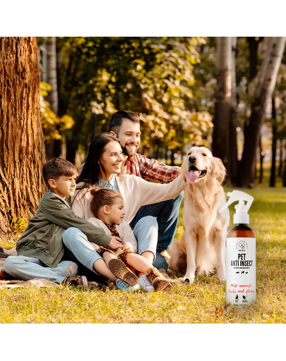 COMFY APPETIT PREMIUM Mousse z wołowiną dla kota 6x400 g