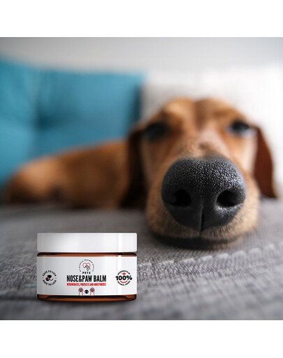 PETS Nose & Paw Balm balsam do pielęgnacji nosa i łap 75 ml