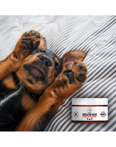 PETS Nose & Paw Balm balsam do pielęgnacji nosa i łap 75 ml