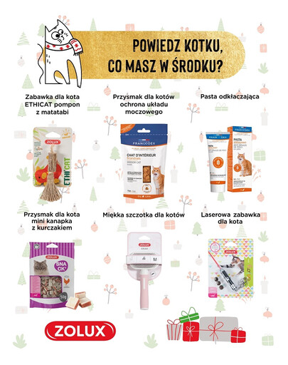 ROYAL CANIN Medium Adult Aliment sec pour chiens adultes de taille moyenne 4kg