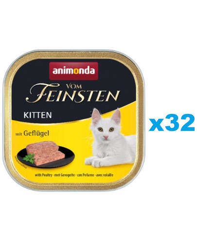 GUSSTO Cat Fresh Chicken nourriture humide pour chat poulet frais 85 g