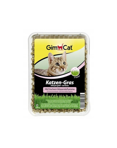 BRIT Care Sustainable Sensitive Insect & Fish pour chiens adultes avec insectes et poissons 2 x 12kg