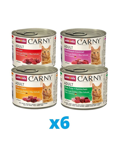 ANIMONDA Carny mix gusti 24 x 200g