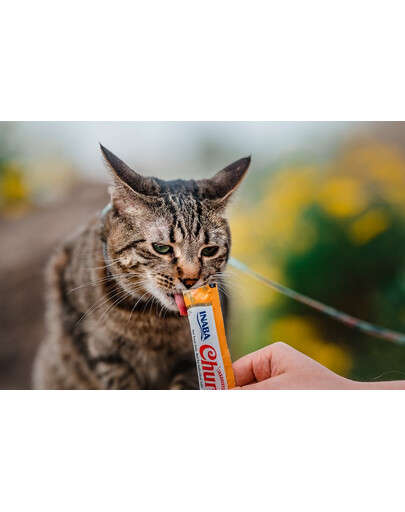 INABA Churu Cat bocconcino cremoso al pollo e formaggio per gatti 56 g