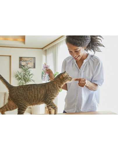 ANIMONDA Carny Senior Boeuf, Poulet & Fromage 200 g pour chats âgés