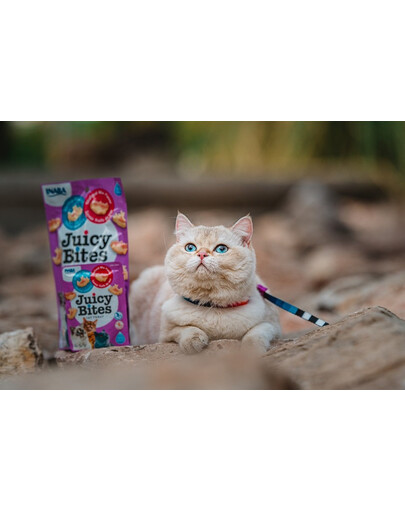 INABA Juicy Bites crocchette umide ai gamberetti e frutti di mare per gatti 33,9 g (3x11,3 g)