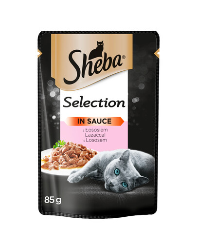 APPLAWS Cat - Conserve de filet de thon et algues marines - 12x(6x156g)
