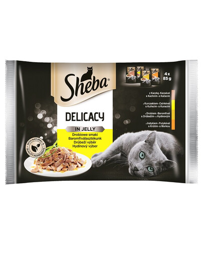APPLAWS Dog Tin - Poulet et agneau en sauce - 72x156g