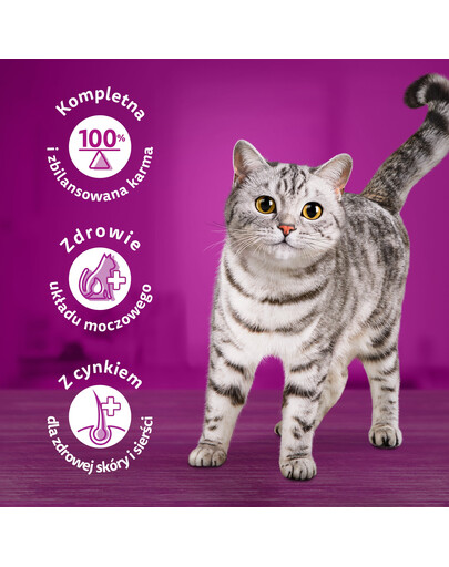 WHISKAS Adult 28x85g cibo umido per gatti adulti in salsa con agnello e tacchino