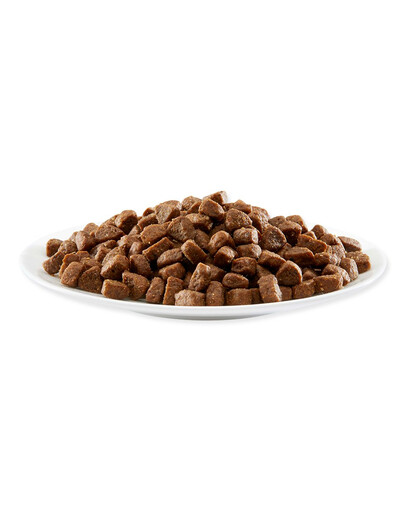 APPLAWS Puppy razze piccole e medie Cibo secco per cuccioli con pollo 7.5 kg