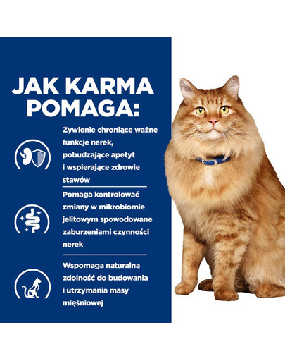 HILL'S PRESCRIPTION DIET k/d + Mobility z kurczakiem 12 x 85 g w saszetkach