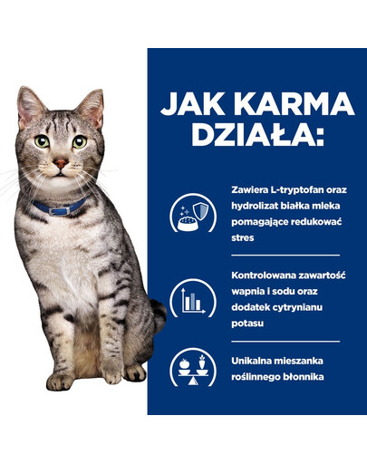 Devon rex est un chat enjoué et plein d'énergie. Il aime passer du temps avec son maître - il se sent bien lors des promenades, aime jouer à la balle ou apprendre des tours.