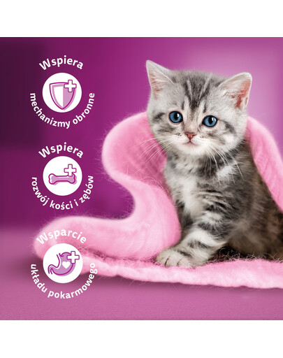 WHISKAS Junior Bustina 52x85g Classic Meals cibo umido per gattini in salsa con manzo e pollo