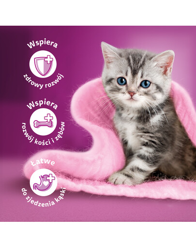 WHISKAS Junior bustina 52x85g di frittelle di pollame cibo umido per gattini in gelatina con: pollo, tacchino