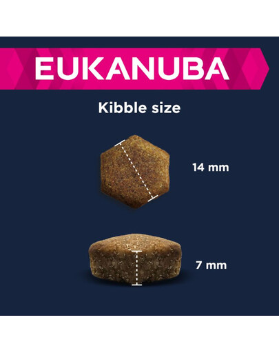 AMIPLAY Cotton Obroża półzaciskowa M 26-40 cm x 2 cm Czarny