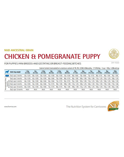 BAYER Drontal Dog Flavour dla psów 24 tabletki