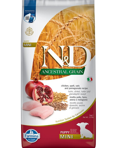 BAYER Drontal Dog Flavour dla psów 24 tabletki