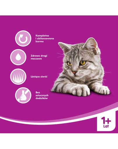 WHISKAS 1+ Agnello 400g