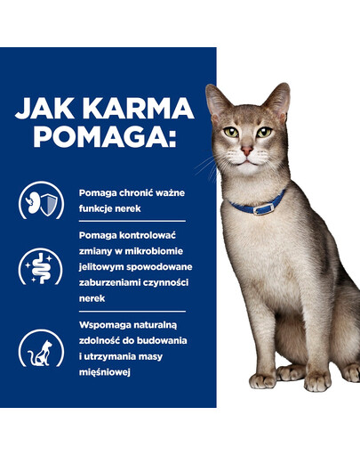 HILL'S Prescription Diet Feline k/d Kidney Care z kurczakiem 12x85 g w saszetkach