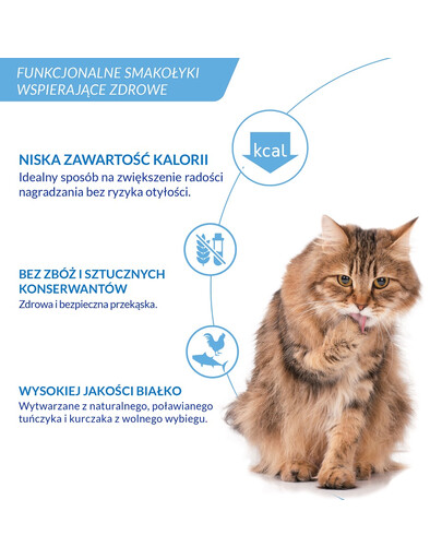 INABA Churu Hairball Chicken 4x14 g przysmak odkłaczający z kurczakiem