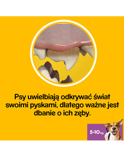 PEDIGREE DentaStix (małe rasy) przysmak dentystyczny dla psów 7 szt. - 110g