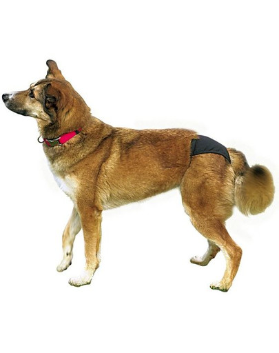TRIXIE Culotte de grossesse XL 60-70 cm noir