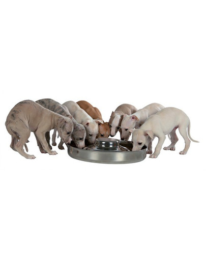 TRIXIE Gamelle pour chiots 4.0 l/o 38 cm