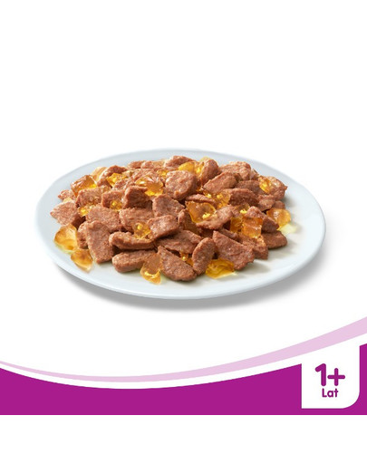 WHISKAS Poulet en gelée 24x100g