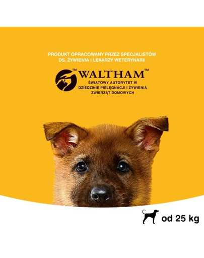 PEDIGREE Junior grandes races avec du poulet 15 kg