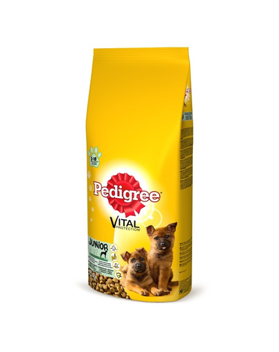 PEDIGREE Junior grandes races avec du poulet 15 kg