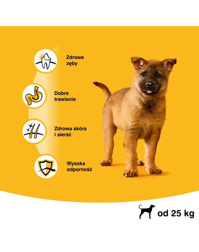 PEDIGREE Junior grandes races avec du poulet 15 kg