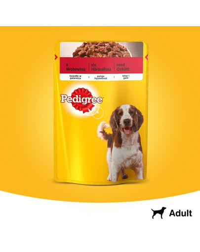 PEDIGREE z wołowiną, kawałki w galaretce 100g