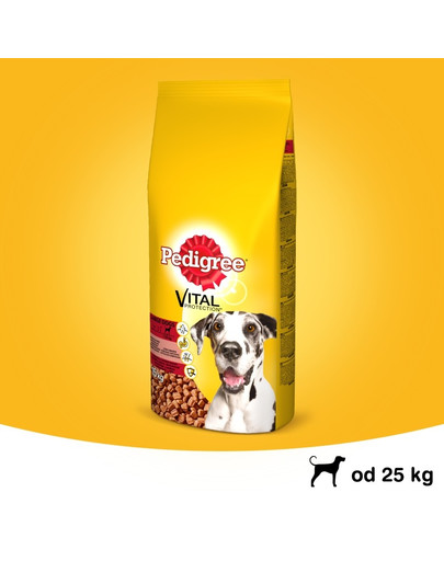 PEDIGREE Vital Protecion Croquettes au bœuf pour grand chien 15 kg