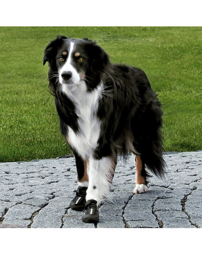 TRIXIE Bottes de protection Walker Active, S-M, 2 pcs.