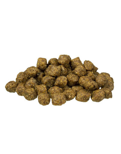 BOSCH  Mini Adult Lamb & Reis 15 kg