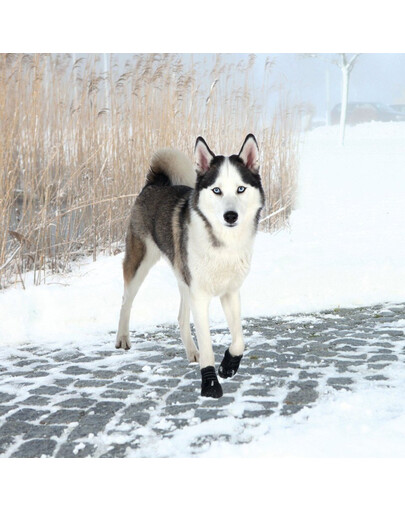 TRIXIE Chaussures de protection Walker Active 2 pcs.